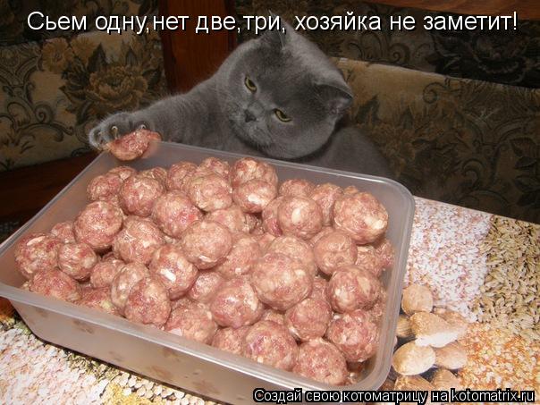 Сьем одну,нет две,три, хозяйка не заметит!... Котоматрица: Сьем одну,нет две,три, хозяйка не заметит!