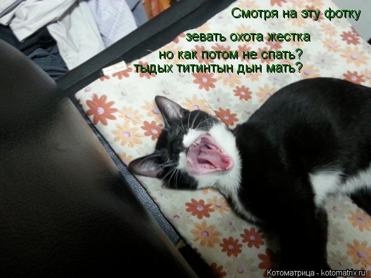 Смотря на эту фотку зевать охота жестка но как потом не спать? тыдых титинтын дын мать?... Котоматрица: Смотря на эту фотку зевать охота жестка но как потом не спать? тыдых титинтын дын мать?