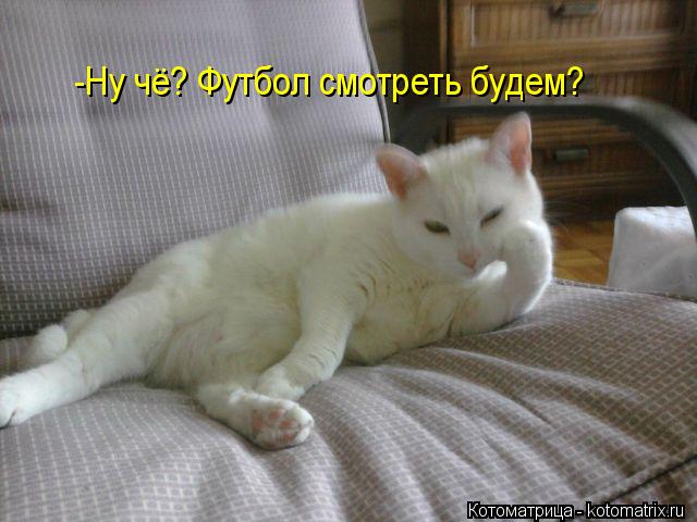 -Ну чё? Футбол смотреть будем?... Котоматрица: -Ну чё? Футбол смотреть будем?