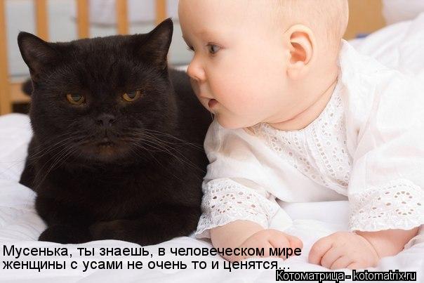 Мусенька, ты знаешь, в человеческом мире женщины с усами не очень то и ценятся...... Котоматрица: Мусенька, ты знаешь, в человеческом мире женщины с усами не очень то и ценятся...