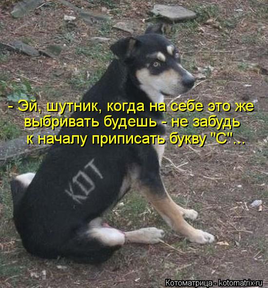 - Эй, шутник, когда на себе это же выбривать будешь - не забудь к началу приписать букву "С"...... Котоматрица: - Эй, шутник, когда на себе это же выбривать будешь - не забудь к началу приписать букву "С"...