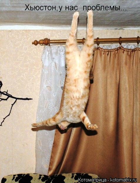 Хьюстон,у нас проблемы...... Котоматрица: Хьюстон,у нас проблемы...