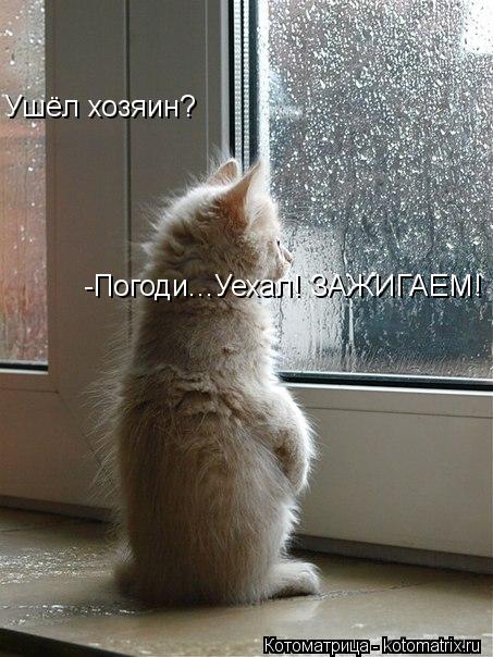 Котоматрица: Ушёл хозяин? -Погоди...Уехал! ЗАЖИГАЕМ!