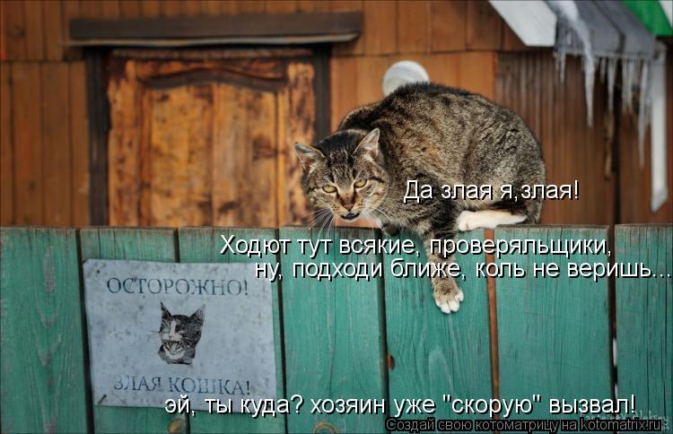 Да злая я,злая! Ходют тут всякие, проверяльщики, ну, подходи ближе, коль не веришь... эй, ты куда? х... Котоматрица: Да злая я,злая! Ходют тут всякие, проверяльщики, ну, подходи ближе, коль не веришь... эй, ты куда? хозяин уже "скорую" вызвал!
