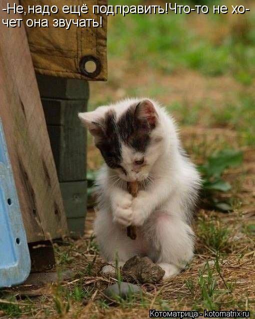-Не,надо ещё подправить!Что-то не хо- чет она звучать!... Котоматрица: -Не,надо ещё подправить!Что-то не хо- чет она звучать!