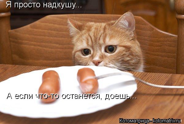 Я просто надкушу... А если что-то останется, доешь...... Котоматрица: Я просто надкушу... А если что-то останется, доешь...