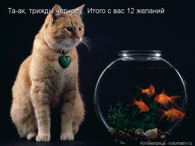 Та-ак, трижды четыре... Итого с вас 12 желаний... Котоматрица: Та-ак, трижды четыре... Итого с вас 12 желаний