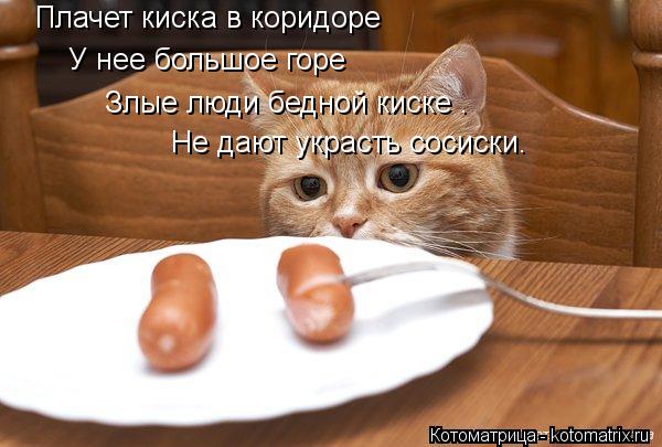 Плачет киска в коридоре У нее большое горе Злые люди бедной киске . Не дают украсть сосиск... Котоматрица: Плачет киска в коридоре У нее большое горе Злые люди бедной киске . Не дают украсть сосиски.