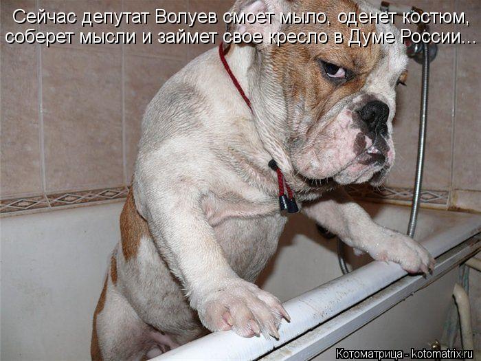Сейчас депутат Волуев смоет мыло, оденет костюм, соберет мысли и займет свое кресло в Думе России...... Котоматрица: Сейчас депутат Волуев смоет мыло, оденет костюм, соберет мысли и займет свое кресло в Думе России...