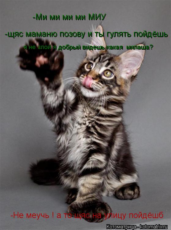 -Ми ми ми ми МИУ -Не меучь ! а то щяс на улицу пойдёшб -щяс маманю позову и ты гулять пойдёшь я не з... Котоматрица: -Ми ми ми ми МИУ -Не меучь ! а то щяс на улицу пойдёшб -щяс маманю позову и ты гулять пойдёшь я не злой я добрый видешь какая милаша?
