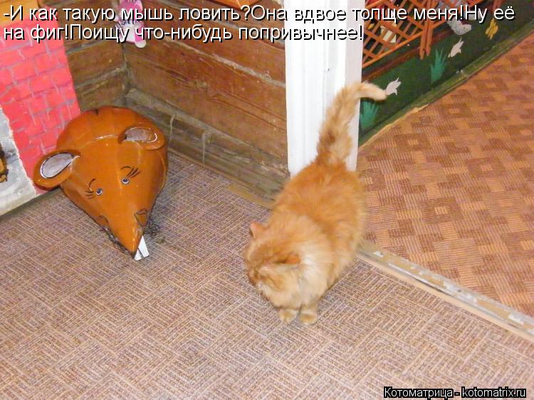 -И как такую мышь ловить?Она вдвое толще меня!Ну её на фиг!Поищу что-нибудь попривычнее!... Котоматрица: -И как такую мышь ловить?Она вдвое толще меня!Ну её на фиг!Поищу что-нибудь попривычнее!