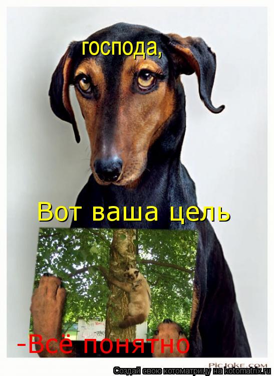 господа, Вот ваша цель -Всё понятно... Котоматрица: господа, Вот ваша цель -Всё понятно