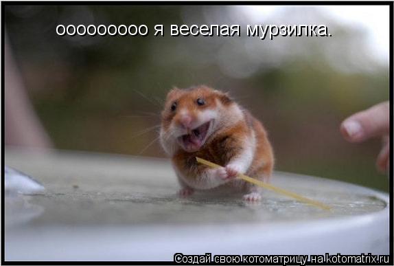 ооооооооо я веселая мурзилка.... Котоматрица: ооооооооо я веселая мурзилка.