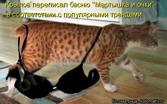 Котоматрица: Крылов переписал басню "Мартышка и очки" в соответствии с популярными трендами