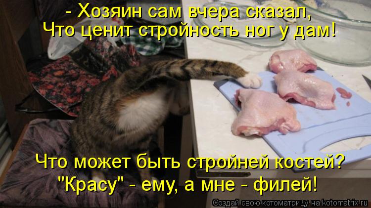 Котоматрица: - Хозяин сам вчера сказал, Что ценит стройность ног у дам! Что может быть стройней костей? "Красу" - ему, а мне - филей!
