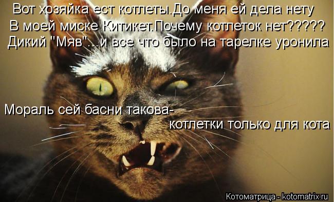 Вот хозяйка ест котлеты.До меня ей дела нету В моей миске Китикет.Почему котлеток нет????? Дикий "Мяв... Котоматрица: Вот хозяйка ест котлеты.До меня ей дела нету В моей миске Китикет.Почему котлеток нет????? Дикий "Мяв"...и все что было на тарелке уронила Морал