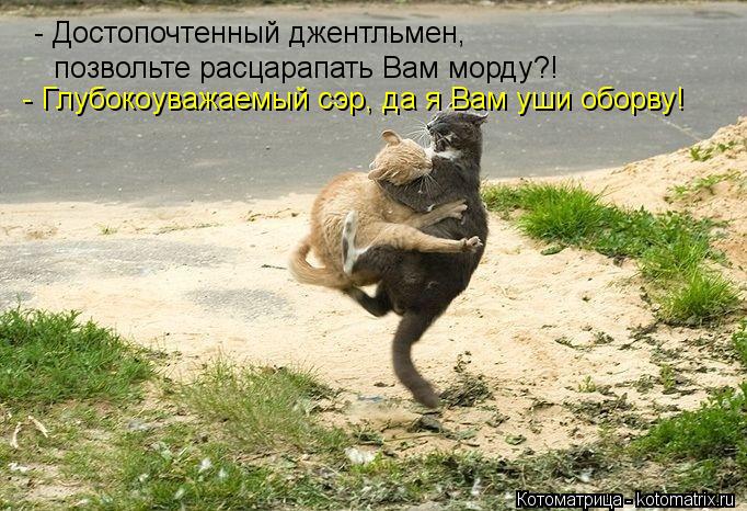 - Достопочтенный джентльмен, позвольте расцарапать Вам морду?! - Глубокоуважаемый сэр, да я Вам уши ... Котоматрица: - Достопочтенный джентльмен, позвольте расцарапать Вам морду?! - Глубокоуважаемый сэр, да я Вам уши оборву!