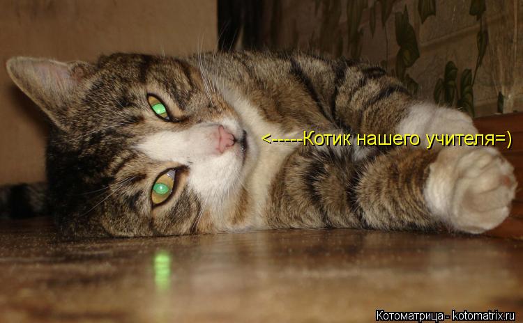 Котоматрица: <-----Котик нашего учителя=)