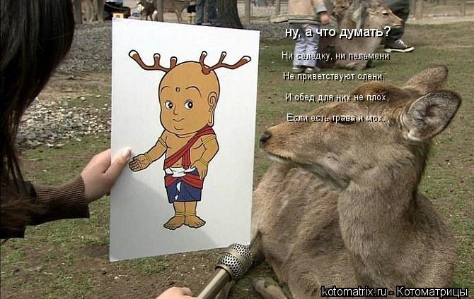 Ни селёдку, ни пельмени Не приветствуют олени. И обед для них не плох, Если есть трава и мох. ну, а ч... Котоматрица: Ни селёдку, ни пельмени Не приветствуют олени. И обед для них не плох, Если есть трава и мох. ну, а что думать?