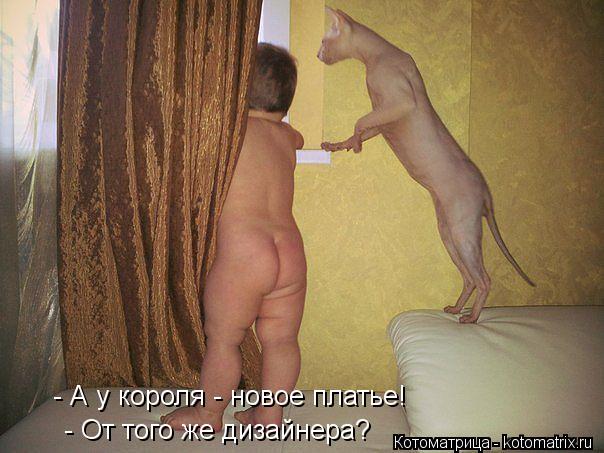 - От того же дизайнера? - А у короля - новое платье!... Котоматрица: - От того же дизайнера? - А у короля - новое платье!