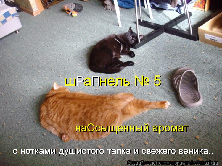 Котоматрица: с нотками душистого тапка и свежего веника.. наСсыщенный аромат ш  а  нель № 5 Р П
