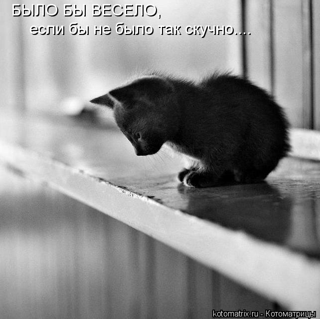 БЫЛО БЫ ВЕСЕЛО, если бы не было так скучно....... Котоматрица: БЫЛО БЫ ВЕСЕЛО, если бы не было так скучно....