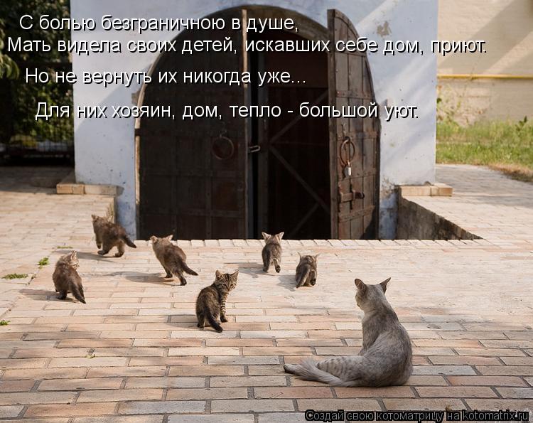 С болью безграничною в душе, Мать видела своих детей, искавших себе дом, приют. Но не вернуть их нико... Котоматрица: С болью безграничною в душе, Мать видела своих детей, искавших себе дом, приют. Но не вернуть их никогда уже... Для них хозяин, дом, тепло - боль