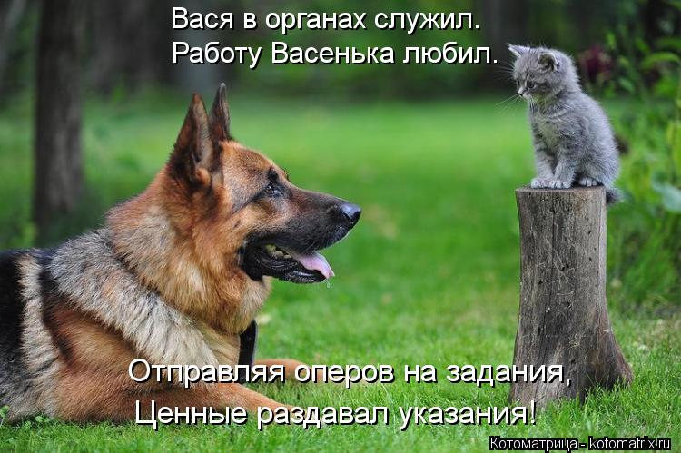 Вася в органах служил. Работу Васенька любил. Отправляя оперов на задания, Отправляя оперов на зад... Котоматрица: Вася в органах служил. Работу Васенька любил. Отправляя оперов на задания, Отправляя оперов на задания, Ценные раздавал указания!