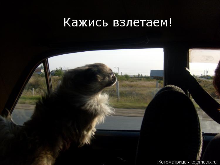 Кажись взлетаем!... Котоматрица: Кажись взлетаем!