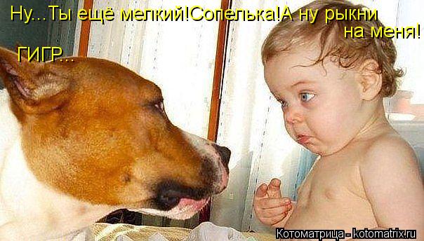 Ну...Ты ещё мелкий!Сопелька!А ну рыкни на меня! ГИГР...... Котоматрица: Ну...Ты ещё мелкий!Сопелька!А ну рыкни на меня! ГИГР...