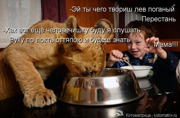 -Эй ты чего твориш лев поганый Перестань -Хах вот ещё человечишку буду я слушать Руку по локть оттяпо... Котоматрица: -Эй ты чего твориш лев поганый Перестань -Хах вот ещё человечишку буду я слушать Руку по локть оттяпою и будеш знать .... Мама!!!