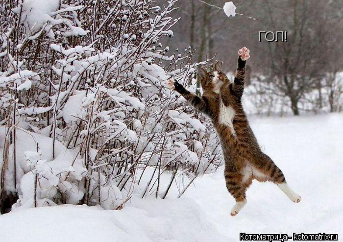 Котоматрица: ГОЛ!