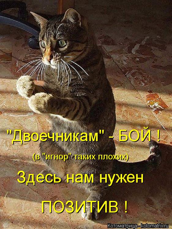 "Двоечникам" - БОЙ ! Здесь нам нужен ПОЗИТИВ ! (в "игнор" таких плохих)... Котоматрица: "Двоечникам" - БОЙ ! Здесь нам нужен ПОЗИТИВ ! (в "игнор" таких плохих)