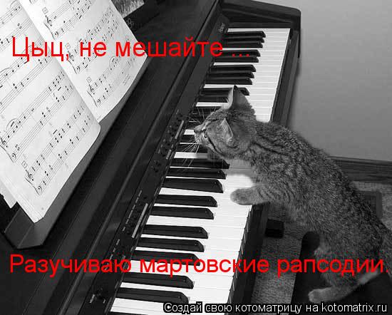 Цыц, не мешайте ... Разучиваю мартовские рапсодии.... Котоматрица: Цыц, не мешайте ... Разучиваю мартовские рапсодии.