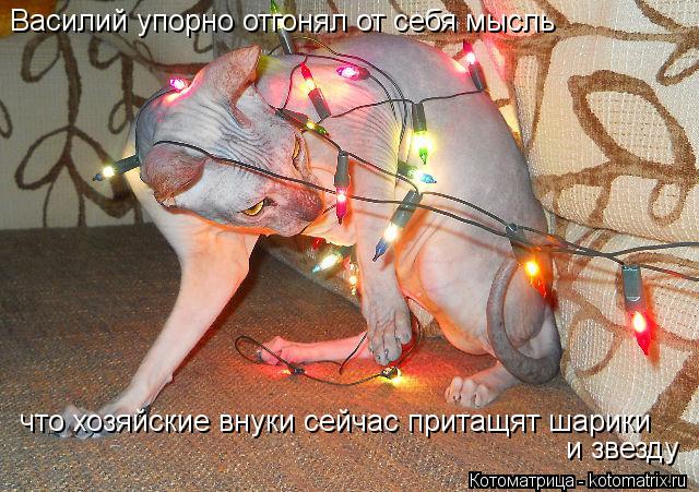 и звезду что хозяйские внуки сейчас притащят шарики Василий упорно отгонял от себя мысль... Котоматрица: и звезду что хозяйские внуки сейчас притащят шарики Василий упорно отгонял от себя мысль