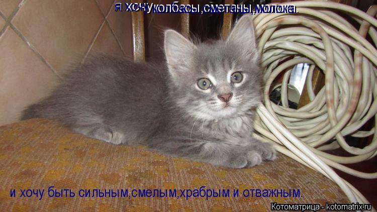 я хочу колбасы,сметаны,молока. колбасы,сметаны,молока. я хочу и хочу быть сильным,смелым,храбрым и от... Котоматрица: я хочу колбасы,сметаны,молока. колбасы,сметаны,молока. я хочу и хочу быть сильным,смелым,храбрым и отважным.