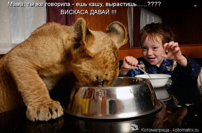 Мама, ты же говорила - ешь кашу, вырастишь......???? ВИСКАСА ДАВАЙ !!!... Котоматрица: Мама, ты же говорила - ешь кашу, вырастишь......???? ВИСКАСА ДАВАЙ !!!