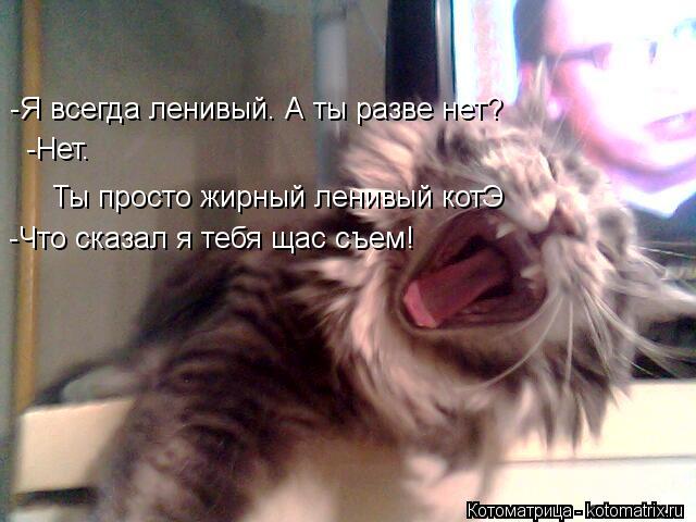 -Я всегда ленивый. А ты разве нет? -Нет. Ты просто жирный ленивый котЭ -Что сказал я тебя щас съем!... Котоматрица: -Я всегда ленивый. А ты разве нет? -Нет. Ты просто жирный ленивый котЭ -Что сказал я тебя щас съем!