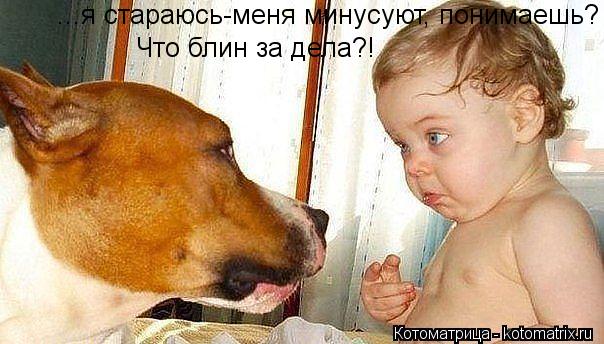 ...я стараюсь-меня минусуют, понимаешь? Что блин за дела?!... Котоматрица: ...я стараюсь-меня минусуют, понимаешь? Что блин за дела?!