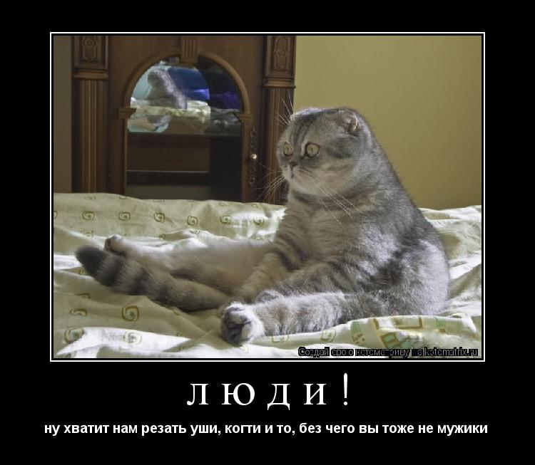 люди! ну хватит нам резать уши, когти и то, без чего вы тоже не мужики ... Котоматрица: люди! ну хватит нам резать уши, когти и то, без чего вы тоже не мужики