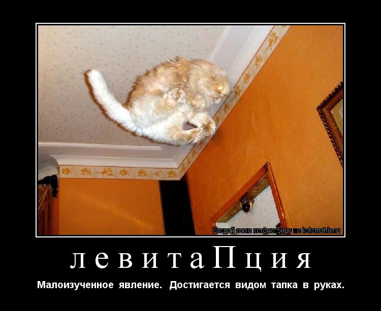 левитаПция Малоизученное явление. Достигается видом тапка в руках.... Котоматрица: левитаПция Малоизученное явление. Достигается видом тапка в руках.