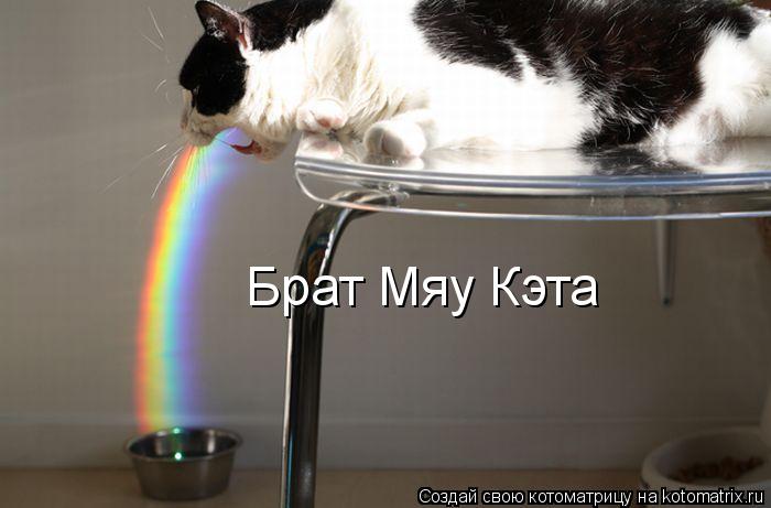 Брат Мяу Кэта... Котоматрица: Брат Мяу Кэта