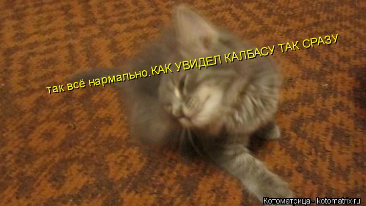 так всё нармально.КАК УВИДЕЛ КАЛБАСУ ТАК СРАЗУ... Котоматрица: так всё нармально.КАК УВИДЕЛ КАЛБАСУ ТАК СРАЗУ