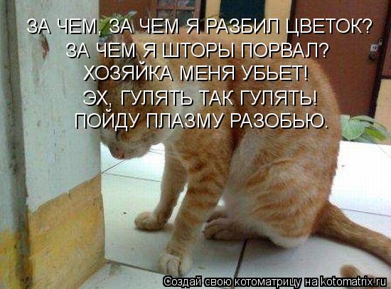 ЗА ЧЕМ, ЗА ЧЕМ Я РАЗБИЛ ЦВЕТОК? ЗА ЧЕМ Я ШТОРЫ ПОРВАЛ? ХОЗЯЙКА МЕНЯ УБЬЕТ! ЭХ, ГУЛЯТЬ ТАК ГУЛЯТЬ! ПОЙ... Котоматрица: ЗА ЧЕМ, ЗА ЧЕМ Я РАЗБИЛ ЦВЕТОК? ЗА ЧЕМ Я ШТОРЫ ПОРВАЛ? ХОЗЯЙКА МЕНЯ УБЬЕТ! ЭХ, ГУЛЯТЬ ТАК ГУЛЯТЬ! ПОЙДУ ПЛАЗМУ РАЗОБЬЮ.