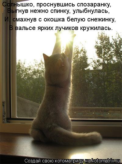 Солнышко, проснувшись спозаранку, Выгнув нежно спинку, улыбнулась, И, смахнув с окошка белую снежинку... Котоматрица: Солнышко, проснувшись спозаранку, Выгнув нежно спинку, улыбнулась, И, смахнув с окошка белую снежинку, В вальсе ярких лучиков кружилась.