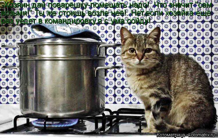 -Хозяин,дай поварёшку-помешать надо!..Что значит "сам возьми!" Ты же стоишь возле неё!..Нет,если хозя... Котоматрица: -Хозяин,дай поварёшку-помешать надо!..Что значит "сам возьми!" Ты же стоишь возле неё!..Нет,если хозяйка ещё раз уедет в командировку,я с ума со