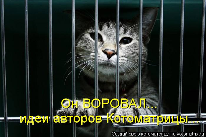 Котоматрица: Он ВОРОВАЛ... идеи авторов Котоматрицы...