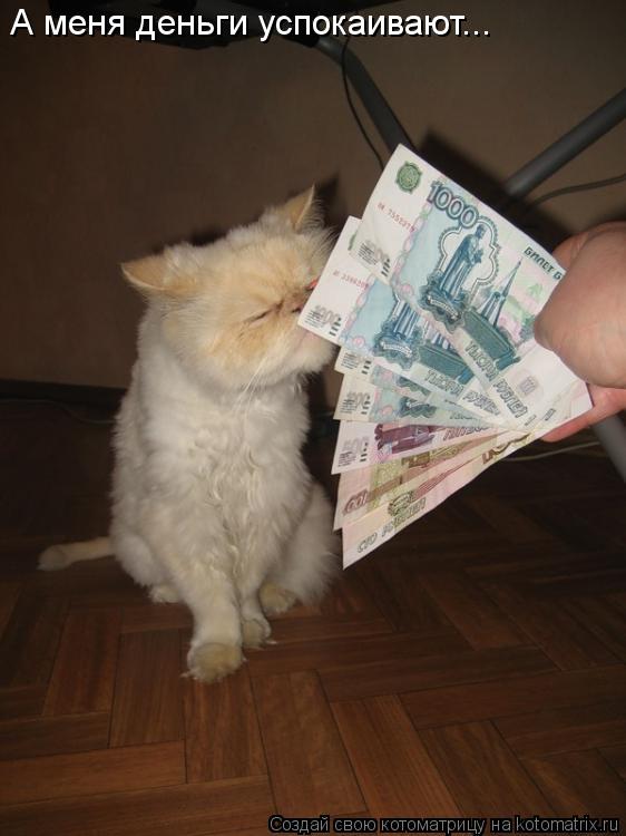 А меня деньги успокаивают...... Котоматрица: А меня деньги успокаивают...