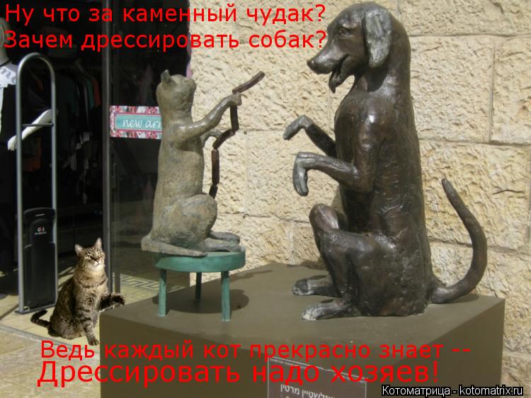Котоматрица: Ну что за каменный чудак? Зачем дрессировать собак? Ведь каждый кот прекрасно знает -- Дрессировать надо хозяев!