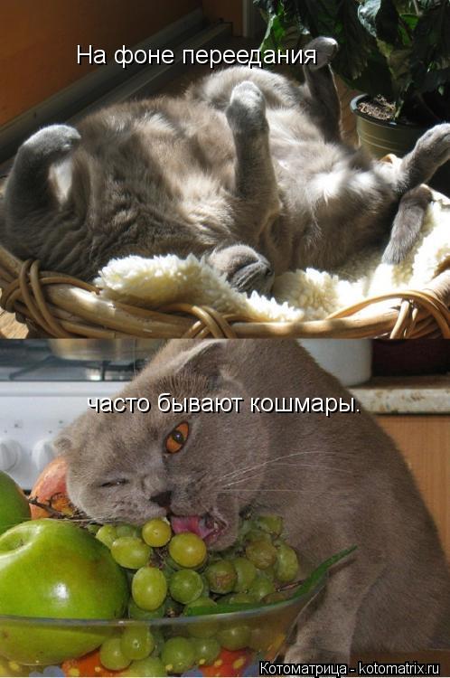 На фоне переедания часто бывают кошмары.... Котоматрица: На фоне переедания часто бывают кошмары.